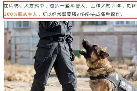 参加训狗申请书怎么写