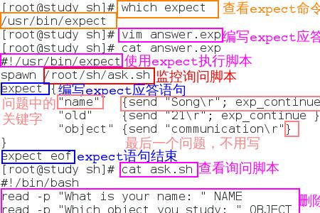 continue的用法