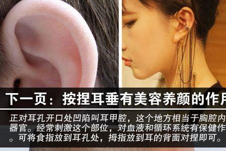 耳朵像什么形状