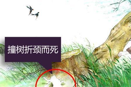 而身为宋国笑古义今义
