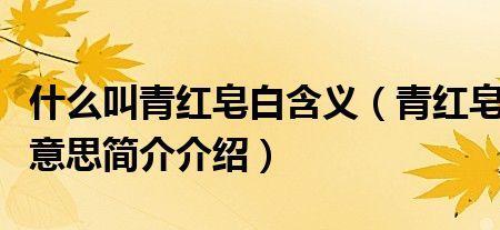 不管青红皂白是什么意思