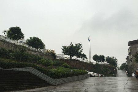 重庆忠县乌杨情况介绍一下