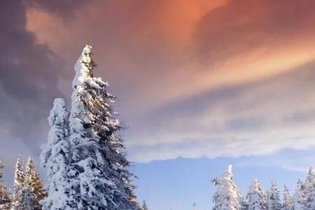 冬天的雪什么而什么造句