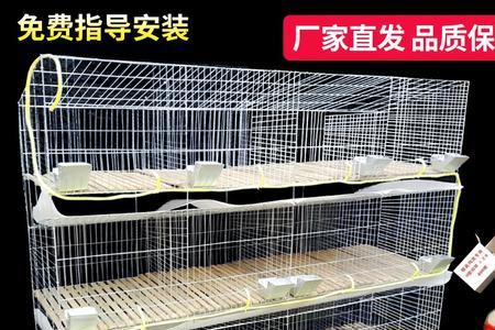 兔子一直关笼子好不好