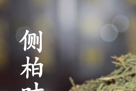 黄柏树叶是什么味道