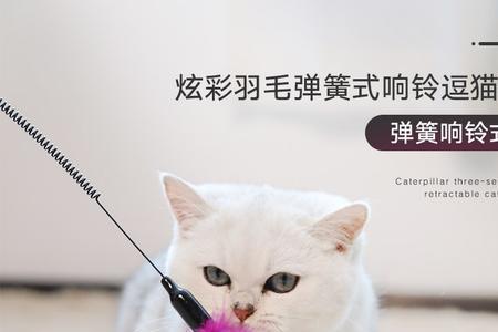 猫咬着逗猫棒不撒嘴怎么办
