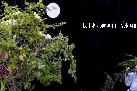 奈何明月照沟渠的奈何什么意思