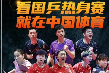 wtt有几个赛场