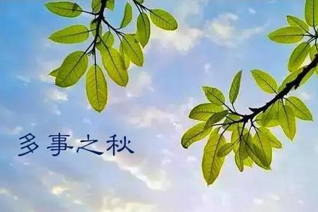 分内之事还是份内之事下一句