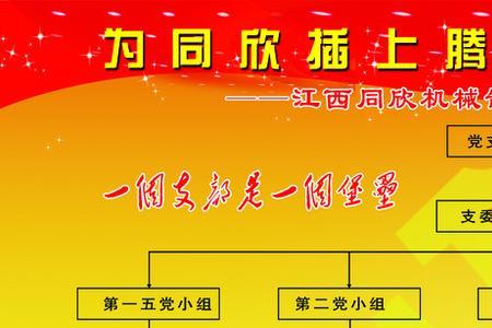 党的组织体系的基本层次是什么