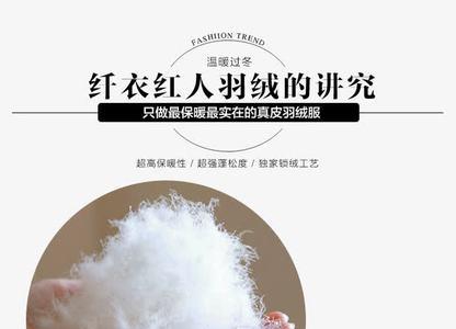 白鸭绒多少一斤