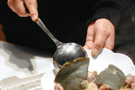 甲鱼吃生蚝吗