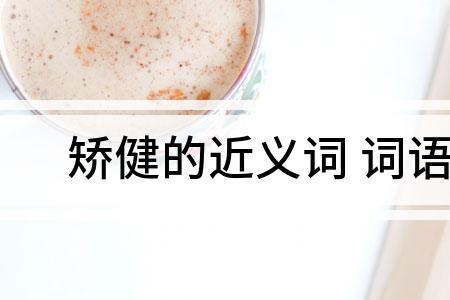 矫健的什么填空词语