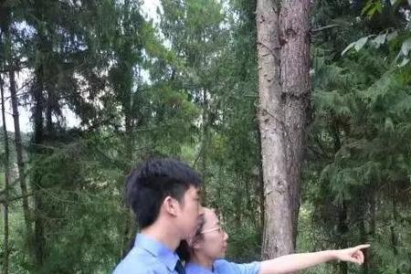 调查核实是什么意思