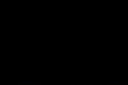 勇敢的心上霍老爷的儿子
