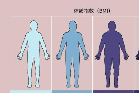 bmi26高不高