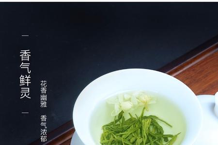 金丝龙芽是什么茶