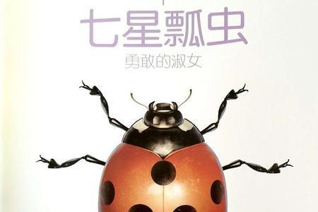 七星瓢虫能飞吗