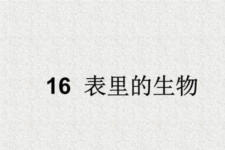 表里的生物中小蝎子指的是什么
