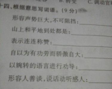 据什么理的成语大全