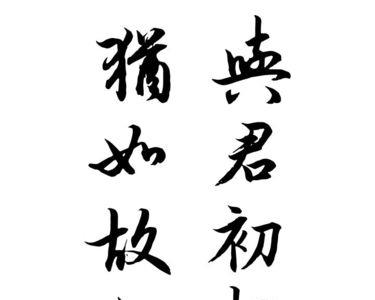与君初相识犹如故人归怎么回复