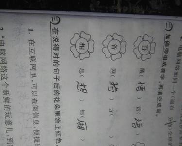 尝的组词有哪些