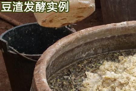 黄豆渣的七种吃法