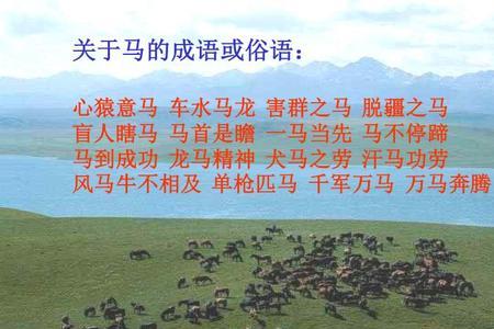 马在地球上跑是什么成语