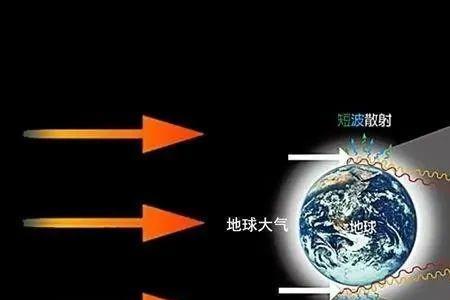 本世纪是