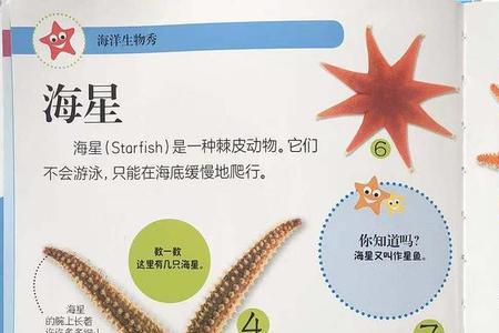 每个和各个的区别