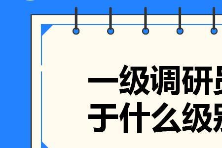 调研适用于哪级领导
