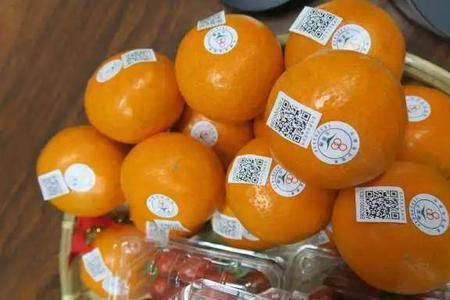 溯源码都包含什么信息