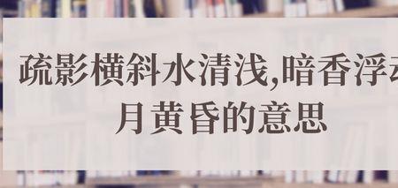簌簌的意思是什么