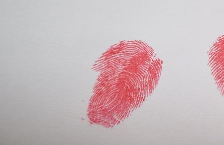 手指指纹撕破多久重新长