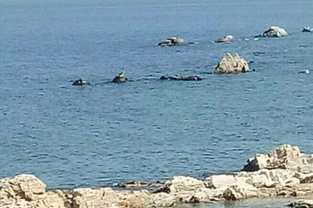 养马岛后海是南边还是北边