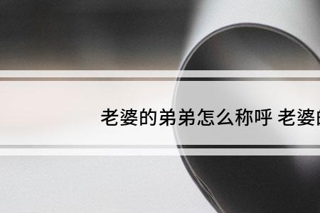 小舅子是谁对谁的称呼