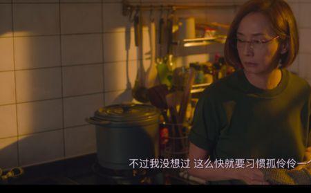 缘由和原由区别