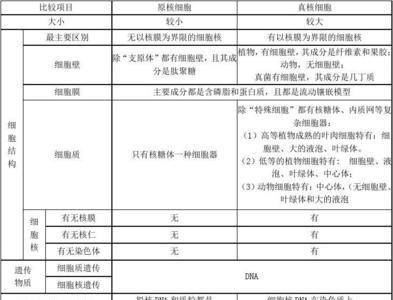 原核生物与真核生物的区别表格