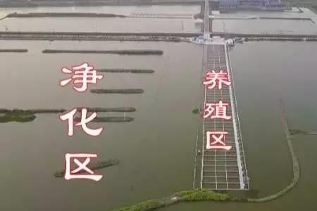 鱼塘怎么称呼