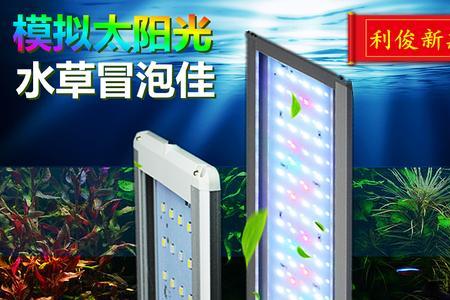 鱼缸用全光谱灯和普通灯的区别