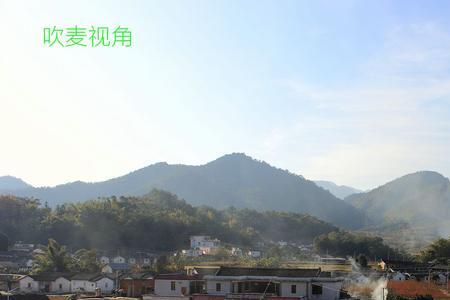 梅州大铺柠檬产地