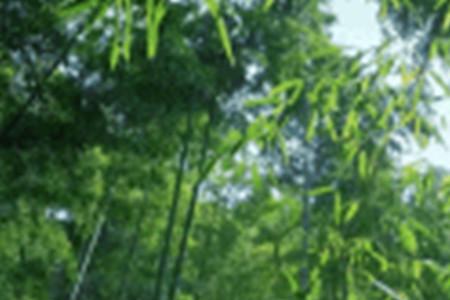 青翠茂盛的意思