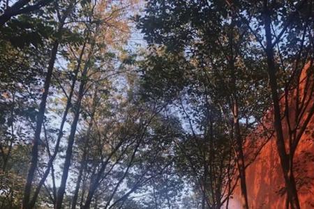山间忽晚山河已秋什么意思