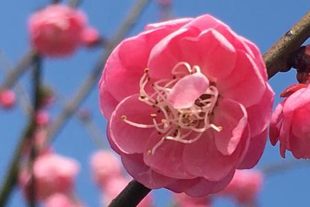 孟春暖阳什么意思