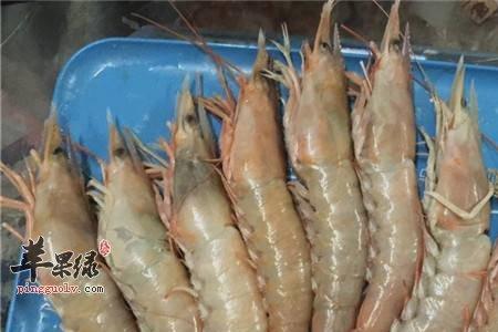 小海虾几月份有