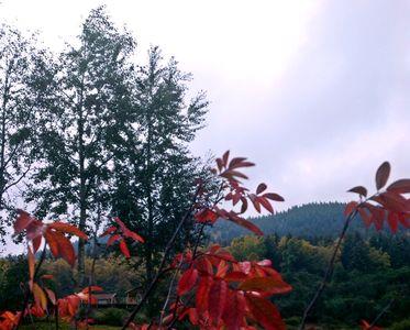 多彩季节是什么意思