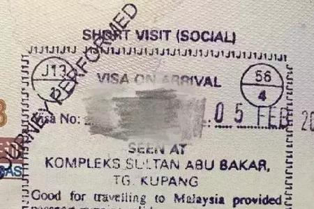 旅游签证去马来西亚海关放行吗