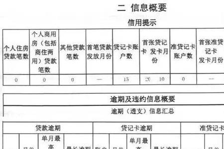 征信报告其他账户数12啥意思