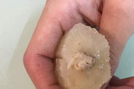 海参去皮是什么意思