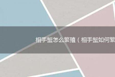 相手蟹多大可以繁殖
